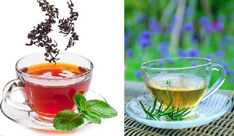 红茶绿茶