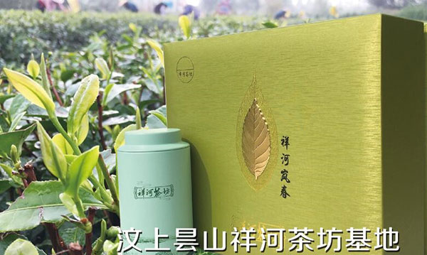 山东散装茶叶批发价格