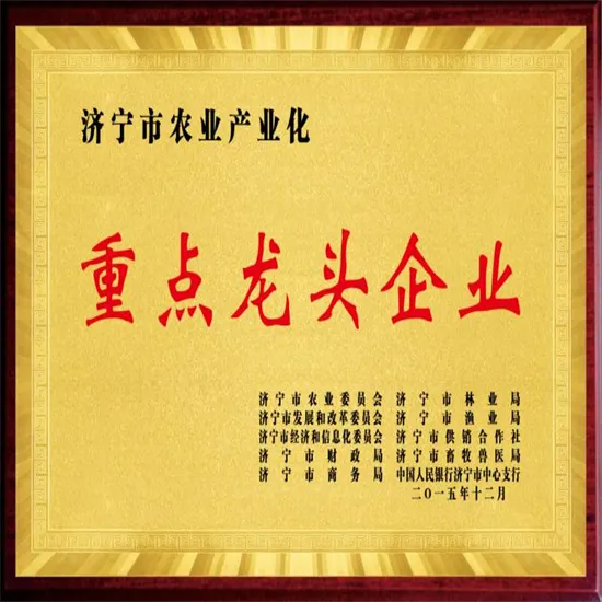 企业资质